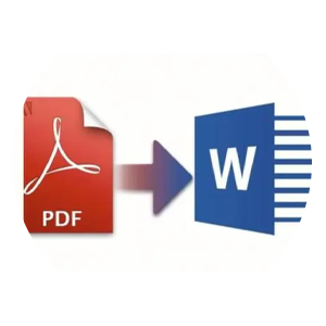 PDFתWord